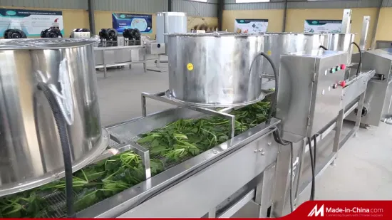 Système de refroidissement de légumes et de fruits de machine de séchage de lame d'air